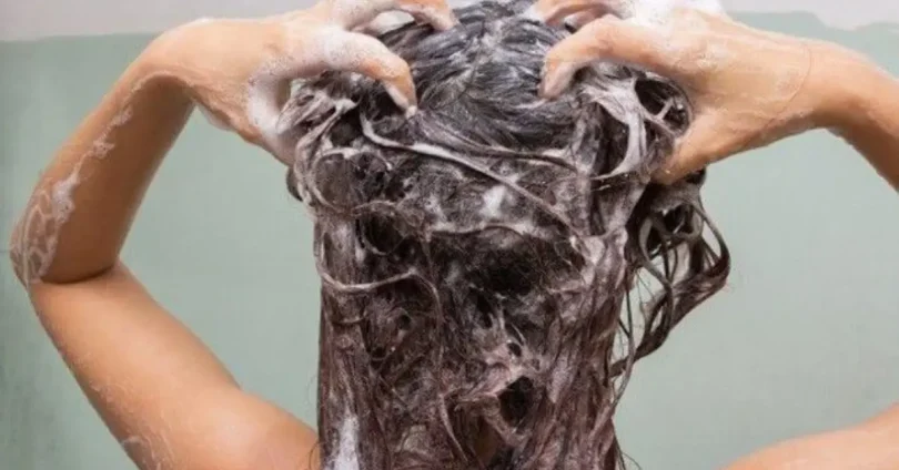 hair care basics for healthy hair